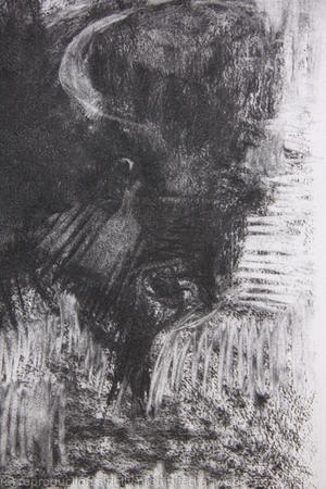 Buffalo, detail.2
