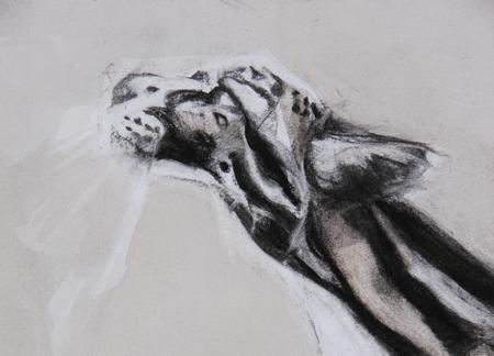 Cloud Leopard, detail