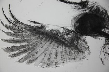 Dark Bird, detail.