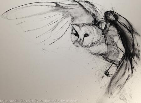 Wing  by Liane Stevenson