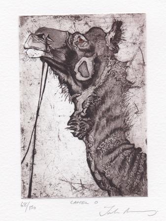 Camel O by Julia Manning