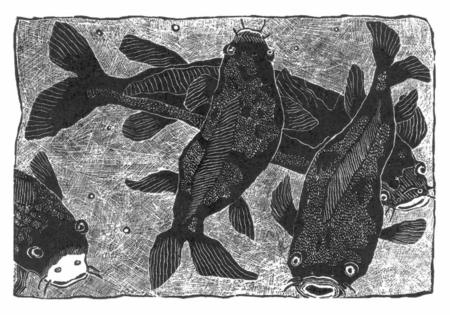 Pontardulais Koi by Sally Hands