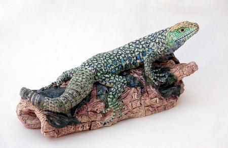 Eyed Lizard on a log