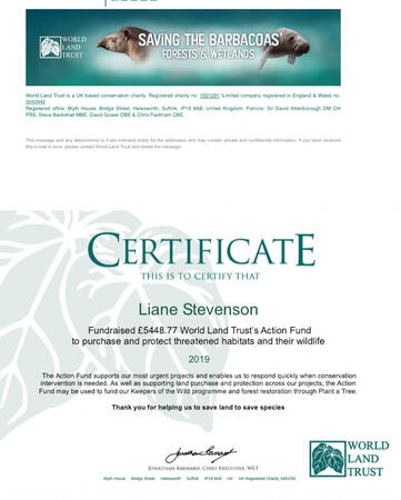WLT fundraising certificate