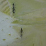 work-photos-june-10-159