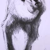 'Where's all the b****y ice gone?'