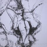 Cloud Leopard, detail