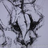 Cloud Leopard, detail