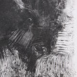 Buffalo, detail.2