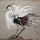 Heron
