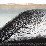 Bent Tree by Merlyn Chesterman