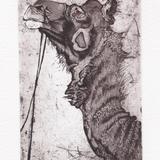 Camel O by Julia Manning