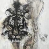 Tigre by Liane Stevenson