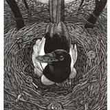Myth of the magpie by Andy English