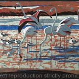 Flamingos and Avocets by Robert Greenhalf