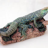 Eyed Lizard on a log