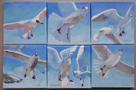 seagulls against the sky