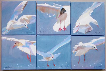 seagulls over the sparkling North Sea