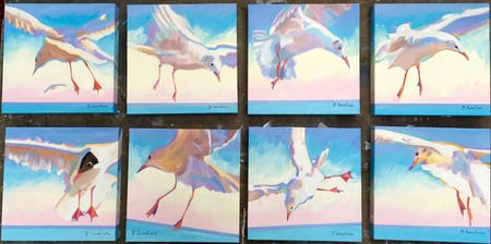 seagulls series 1a