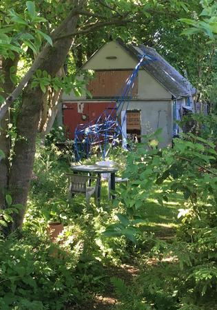 Grey Shed wildlife garden