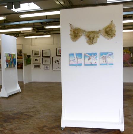 seagulls fly in to Colchester Art Society