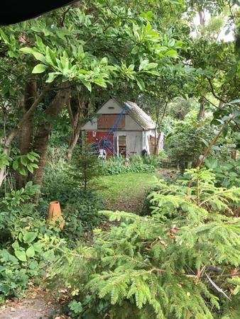 grey shed wildlife garden