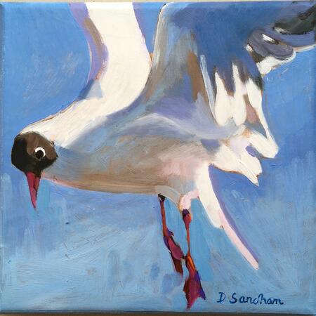 Seagull 1