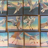 seagulls series 2