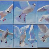 seagulls against the sky