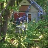 Grey Shed wildlife garden