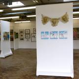 seagulls fly in to Colchester Art Society