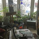 Painting Seagulls in the snow