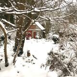 snow in the Garden of Art