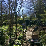 Painting in the Garden