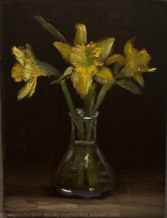 Daffodils in the dark