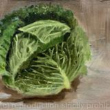 Green cabbage