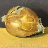 From the bottom of the fridge