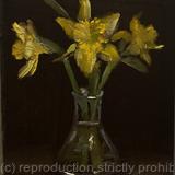 Daffodils in the dark