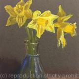 Daffodils in the light