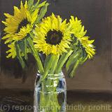 Sunflowers in a jar