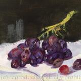 Study of grapes