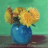 Contrasting Chrysanthemums