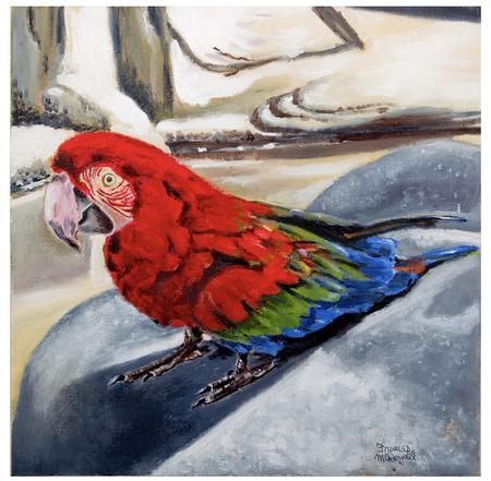 Who’s a pretty boy?!