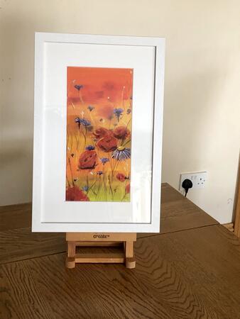 Poppy Burst