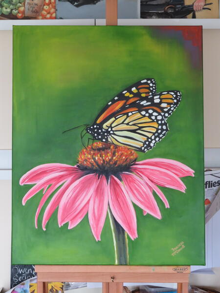 Red Admiral on the big pink