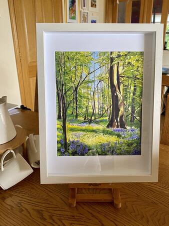 Bluebells Tobertynan wood