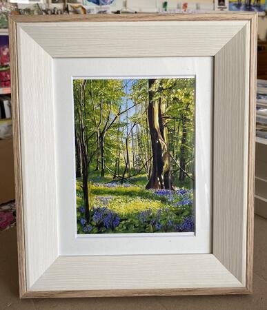 Bluebells Tobertynan Wood 