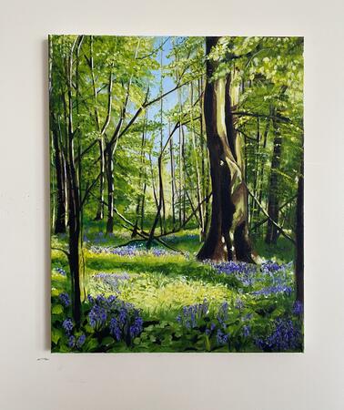 Bluebells Tobertynan Wood 