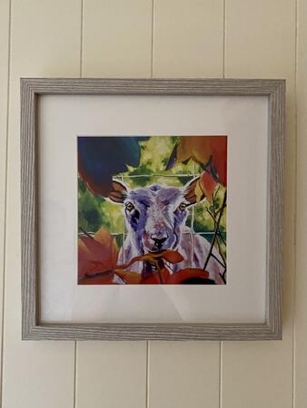 Here’s Lookin at Ewe!