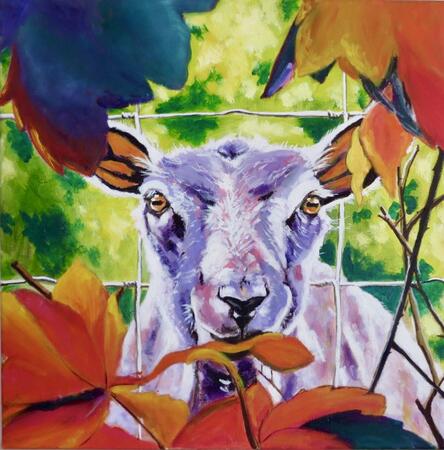 Here’s Lookin at Ewe!